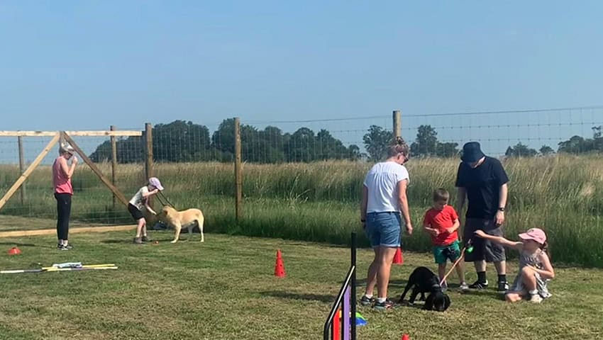 Dog training in a field