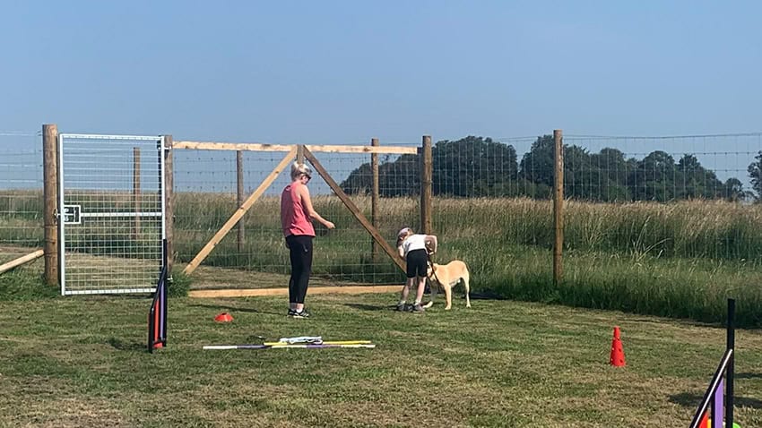 Kids & Dogs 1